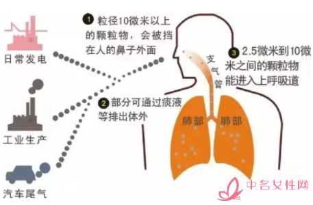 pm25的單位是nm還是um3