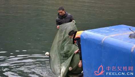 四川禁漁期可以釣魚(yú)嗎3