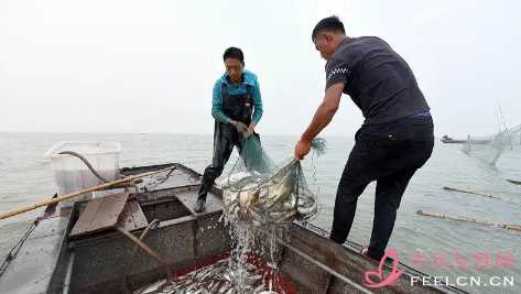 四川禁漁期可以釣魚(yú)嗎1